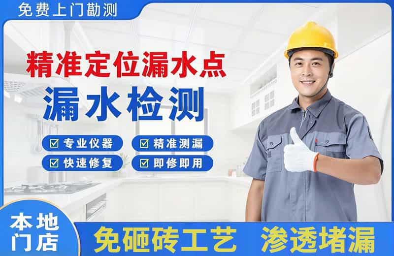 华龙精准测漏点